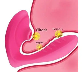 Vibrador Ponto G  e Sugador de Clitóris TITAN 10 Níveis