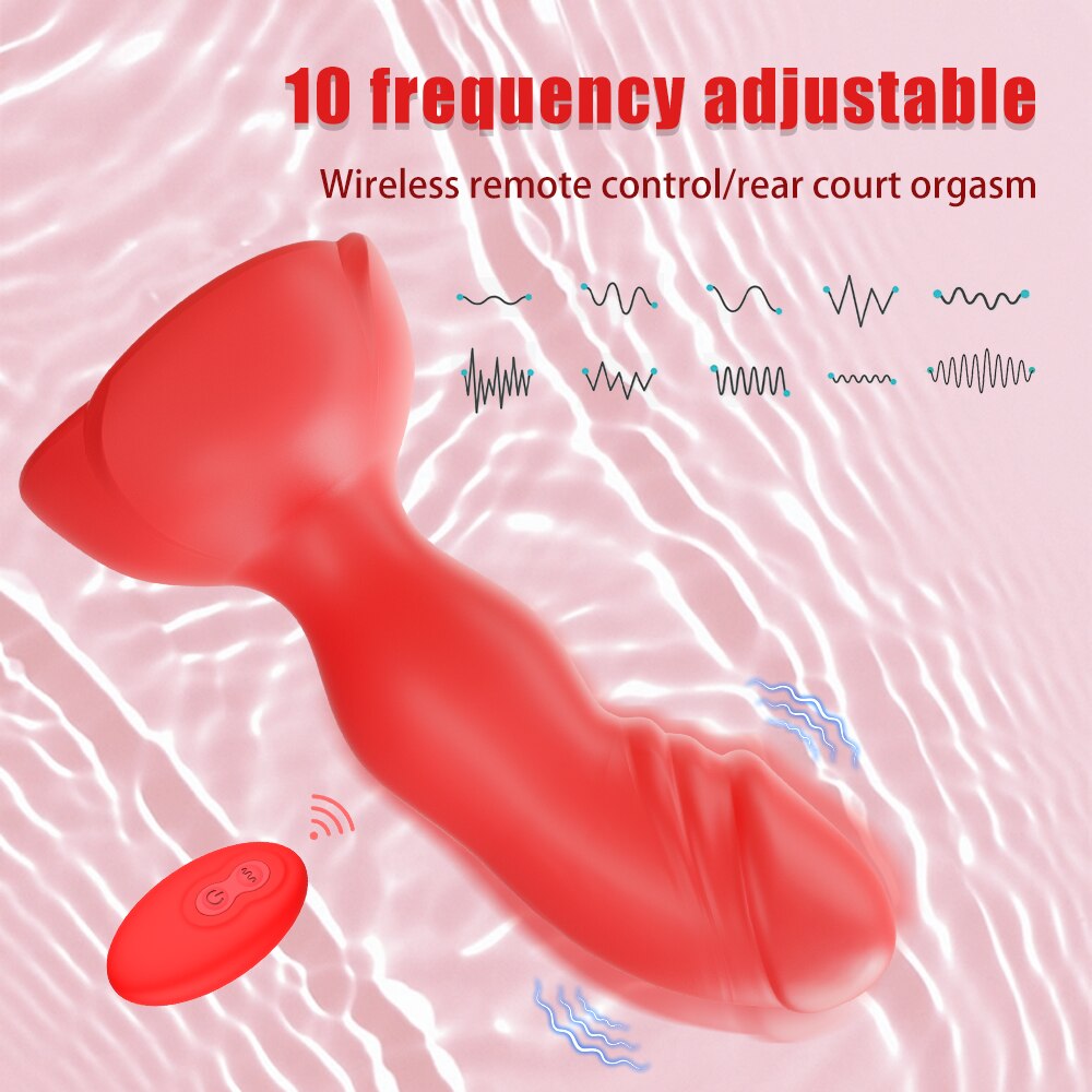 Plug e Vibrador Vênus 10 Modos