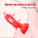 Plug e Vibrador Vênus 10 Modos